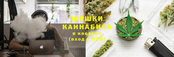 прущая мука Богородицк