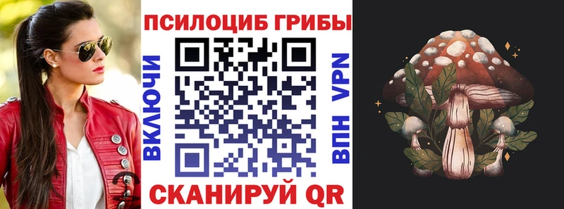 что такое наркотик  Кириши  Галлюциногенные грибы мицелий 